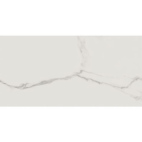 Cerdomus Statuario Bianco Matt 60 x 120 cm