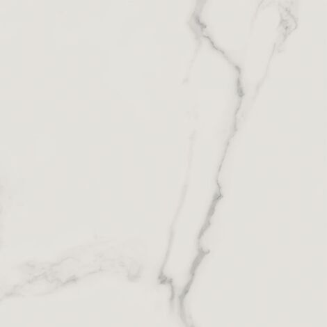 Cerdomus Statuario Bianco Matt 60 x 60 cm