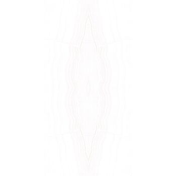 Cerdomus Skorpion Bookmatch White Poliert 60 x 120 cm (Set)